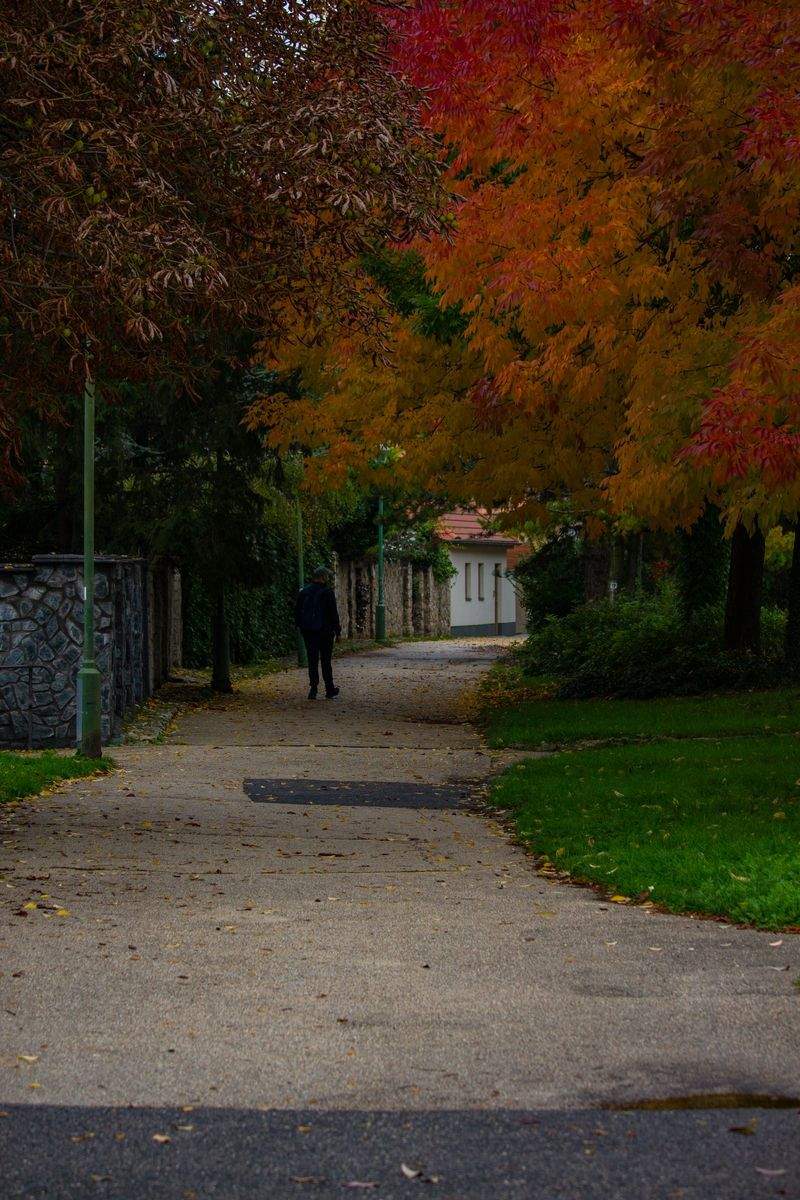 趣味の楽園で新たな情熱を見つけよう。